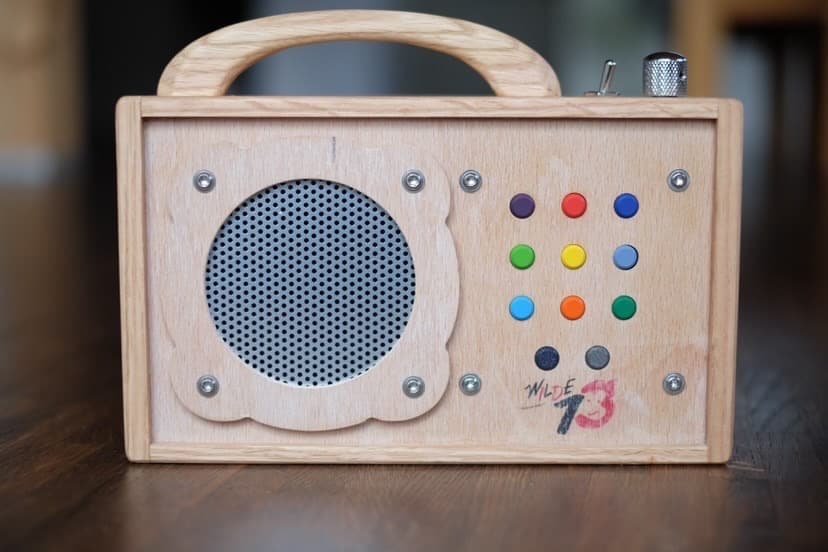 Elektronik Bausatz Wilde 13